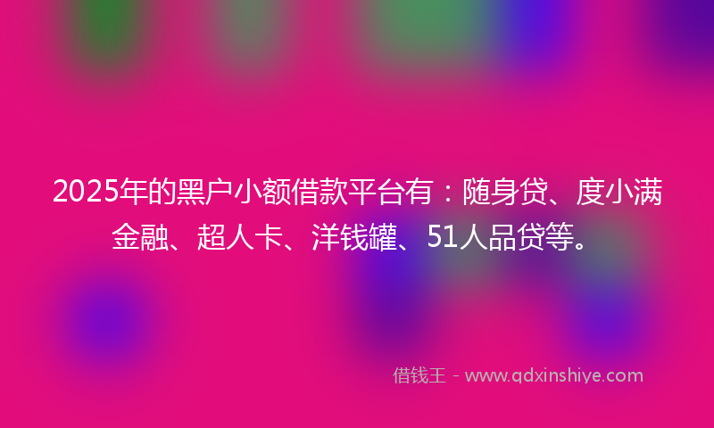 2025年的黑户小额借款平台有：随身贷、度小满金融、超人卡、洋钱罐、51人品贷等。