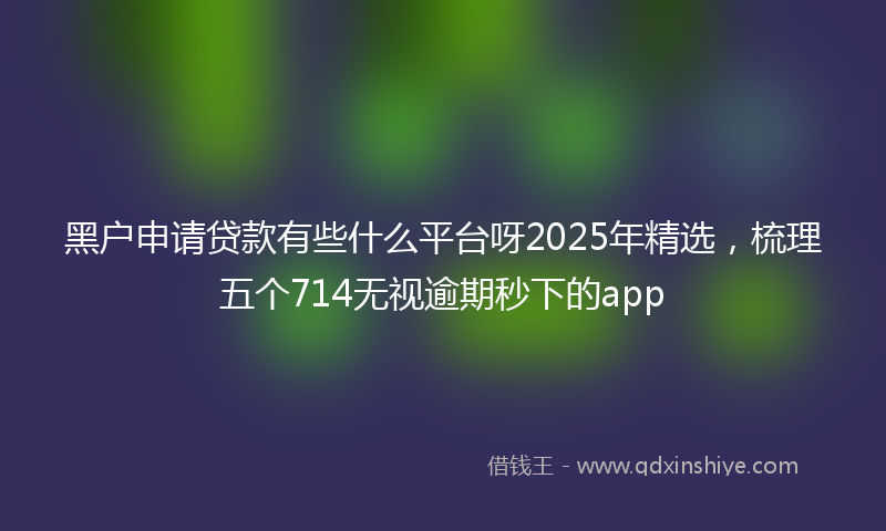 黑户申请贷款有些什么平台呀2025年精选，梳理五个714无视逾期秒下的app