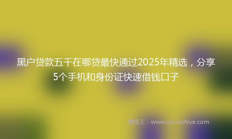 黑户贷款五千在哪贷最快通过2025年精选，分享5个手机和身份证快速借钱口子