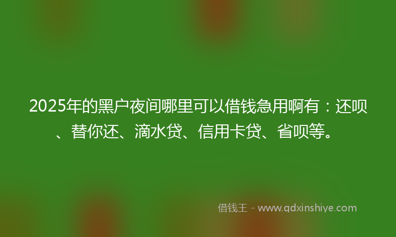 2025年的黑户夜间哪里可以借钱急用啊有：还呗、替你还、滴水贷、信用卡贷、省呗等。