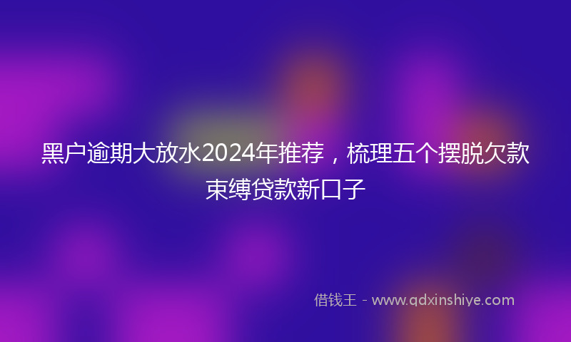 黑户逾期大放水2024年推荐，梳理五个摆脱欠款束缚贷款新口子