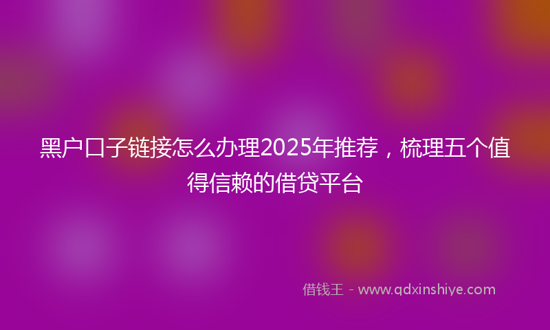 黑户口子链接怎么办理2025年推荐，梳理五个值得信赖的借贷平台