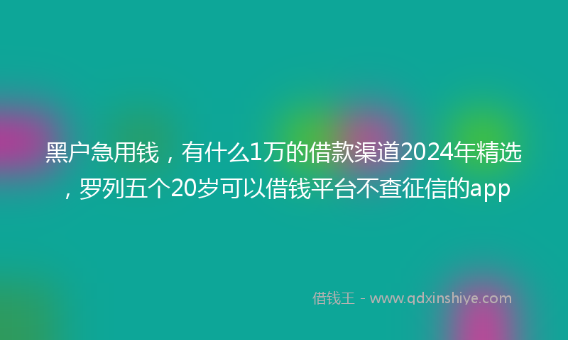 黑户急用钱，有什么1万的借款渠道2024年精选，罗列五个20岁可以借钱平台不查征信的app