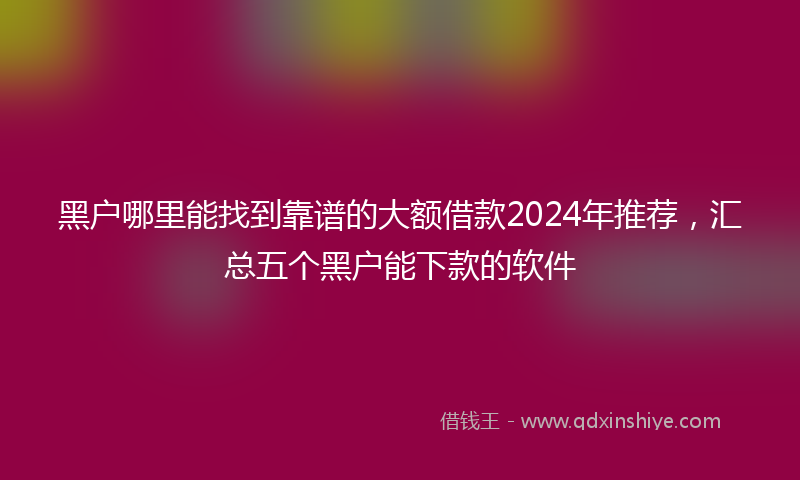 黑户哪里能找到靠谱的大额借款2024年推荐，汇总五个黑户能下款的软件