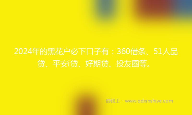 2024年的黑花户必下口子有：360借条、51人品贷、平安i贷、好期贷、投友圈等。