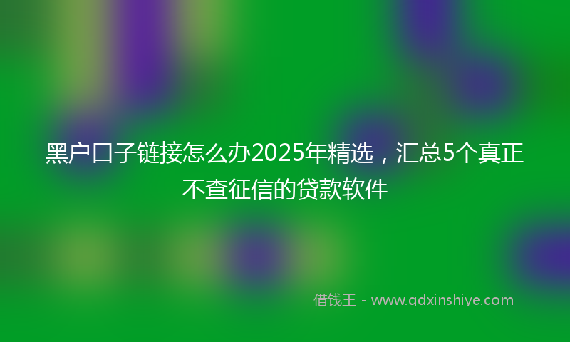 黑户口子链接怎么办2025年精选，汇总5个真正不查征信的贷款软件