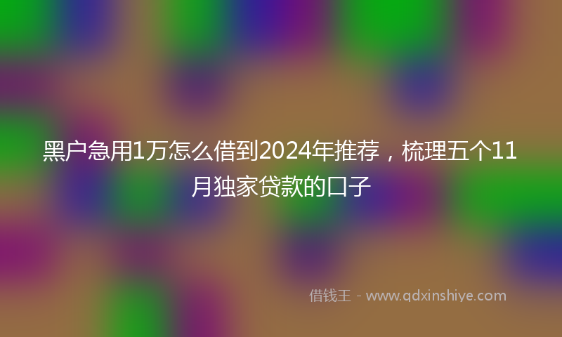 黑户急用1万怎么借到2024年推荐，梳理五个11月独家贷款的口子