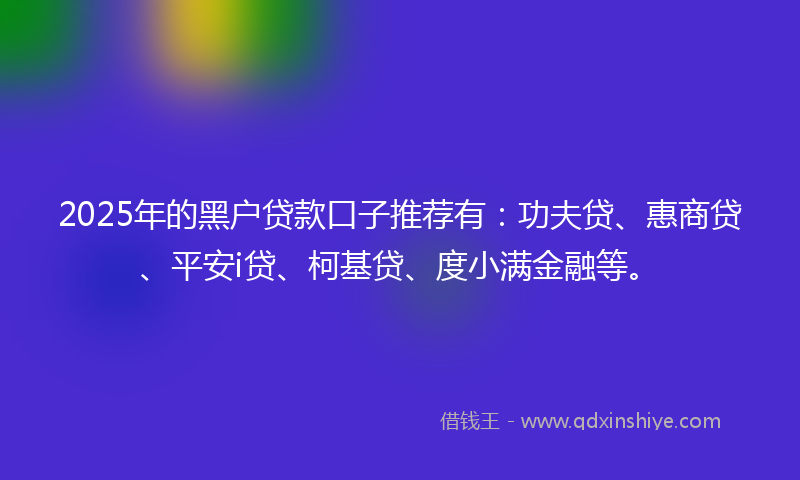 2025年的黑户贷款口子推荐有：功夫贷、惠商贷、平安i贷、柯基贷、度小满金融等。