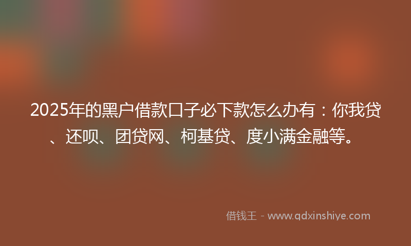 2025年的黑户借款口子必下款怎么办有：你我贷、还呗、团贷网、柯基贷、度小满金融等。