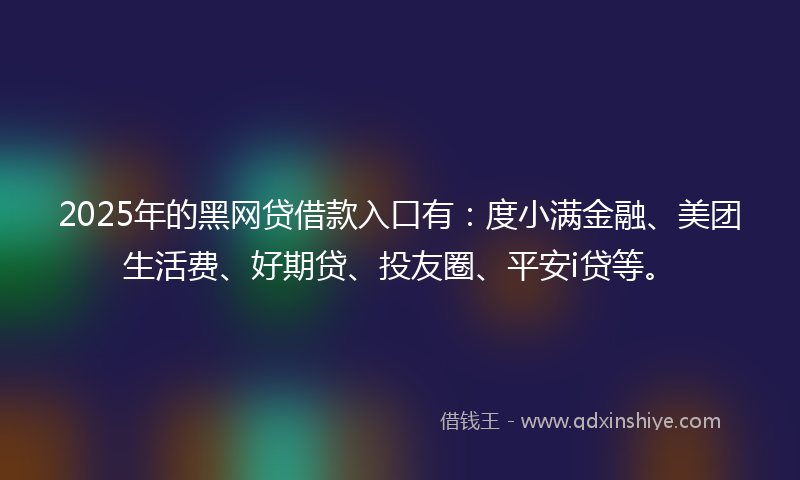 2025年的黑网贷借款入口有：度小满金融、美团生活费、好期贷、投友圈、平安i贷等。