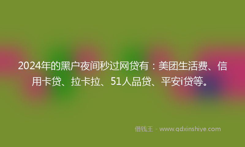 2024年的黑户夜间秒过网贷有：美团生活费、信用卡贷、拉卡拉、51人品贷、平安i贷等。