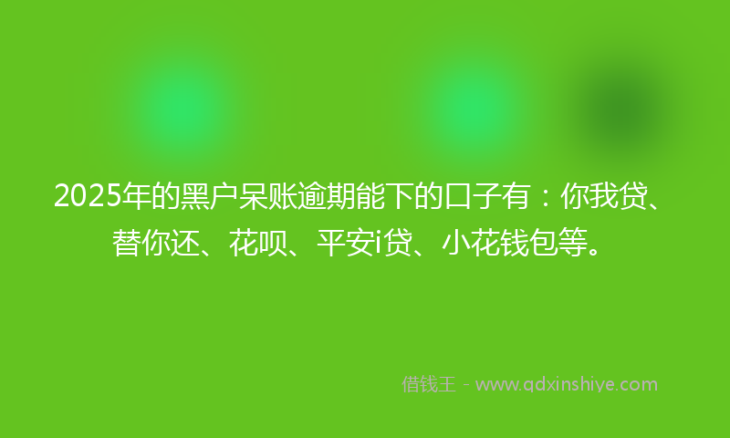 2025年的黑户呆账逾期能下的口子有：你我贷、替你还、花呗、平安i贷、小花钱包等。