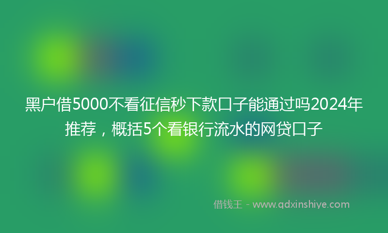 黑户借5000不看征信秒下款口子能通过吗2024年推荐，概括5个看银行流水的网贷口子