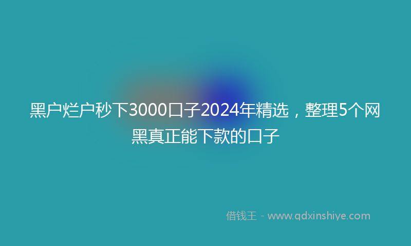 黑户烂户秒下3000口子2024年精选，整理5个网黑真正能下款的口子