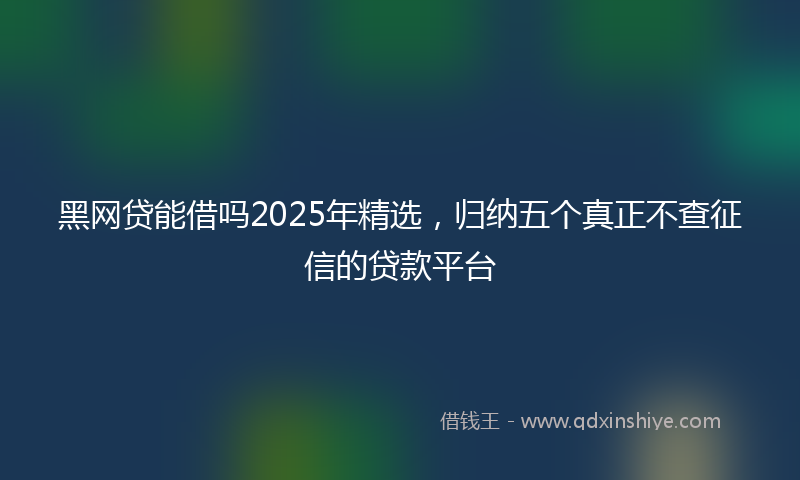 黑网贷能借吗2025年精选，归纳五个真正不查征信的贷款平台