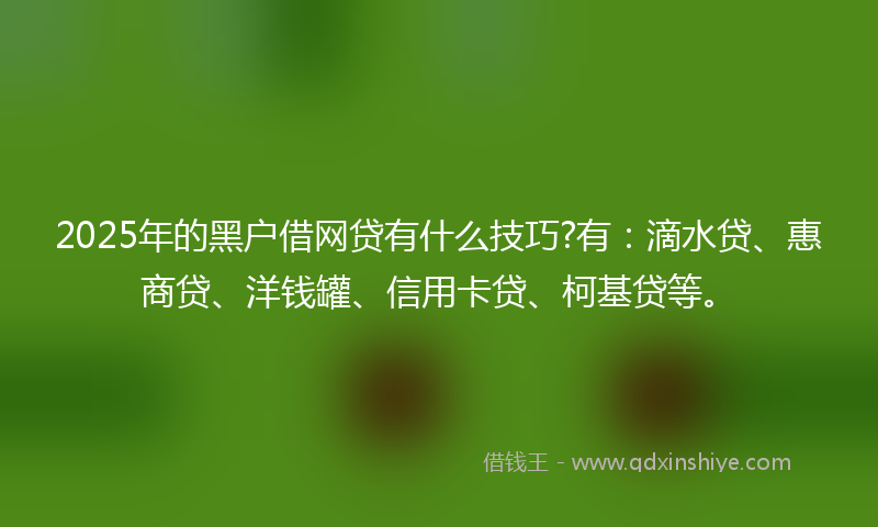 2025年的黑户借网贷有什么技巧?有：滴水贷、惠商贷、洋钱罐、信用卡贷、柯基贷等。