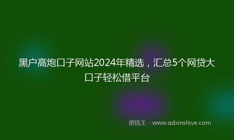 黑户高炮口子网站2024年精选，汇总5个网贷大口子轻松借平台