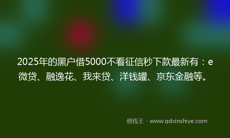 2025年的黑户借5000不看征信秒下款最新有：e微贷、融逸花、我来贷、洋钱罐、京东金融等。