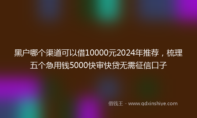 黑户哪个渠道可以借10000元2024年推荐，梳理五个急用钱5000快审快贷无需征信口子