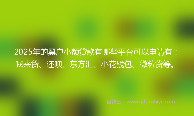 2025年的黑户小额贷款有哪些平台可以申请有：我来贷、还呗、东方汇、小花钱包、微粒贷等。