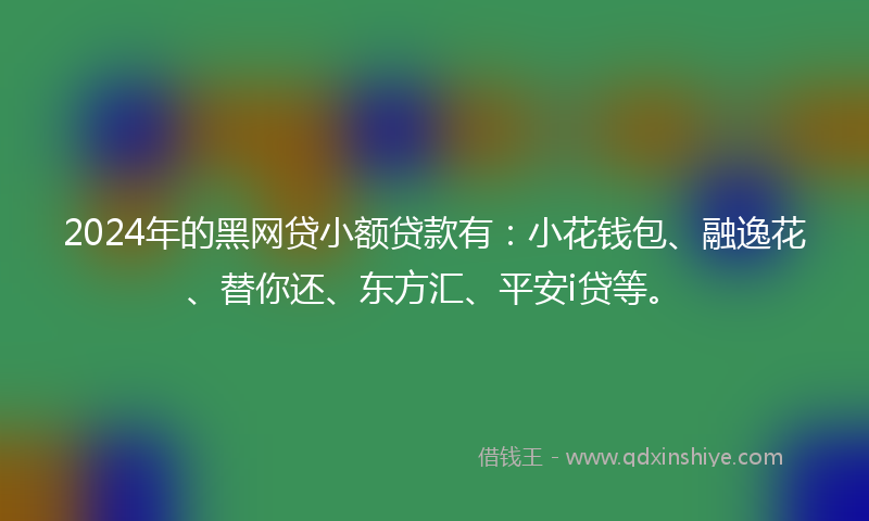 2024年的黑网贷小额贷款有：小花钱包、融逸花、替你还、东方汇、平安i贷等。