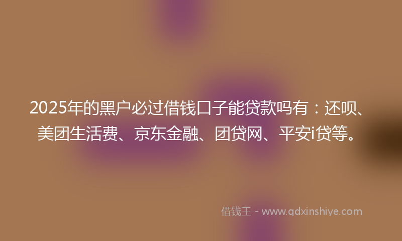 2025年的黑户必过借钱口子能贷款吗有：还呗、美团生活费、京东金融、团贷网、平安i贷等。