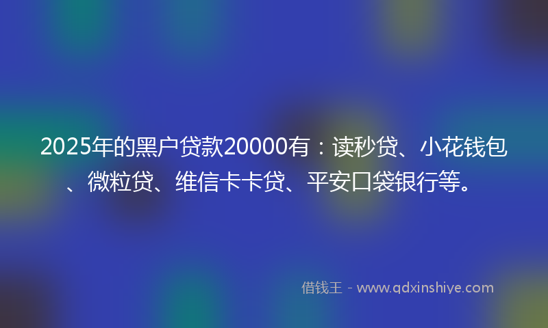 2025年的黑户贷款20000有：读秒贷、小花钱包、微粒贷、维信卡卡贷、平安口袋银行等。