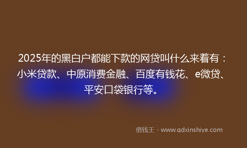 2025年的黑白户都能下款的网贷叫什么来着有：小米贷款、中原消费金融、百度有钱花、e微贷、平安口袋银行等。