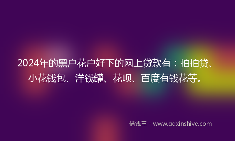 2024年的黑户花户好下的网上贷款有：拍拍贷、小花钱包、洋钱罐、花呗、百度有钱花等。
