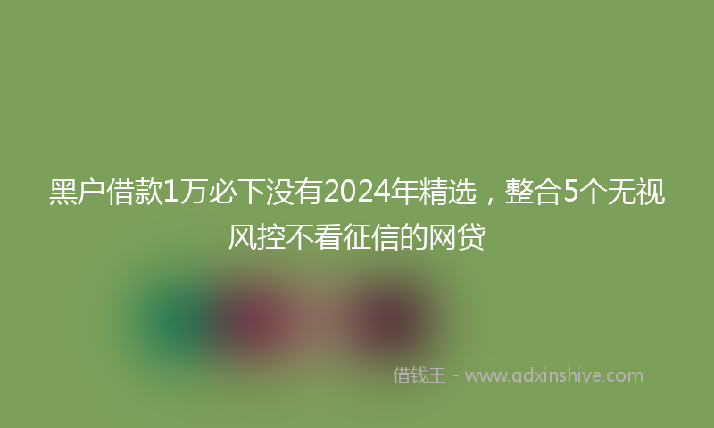 黑户借款1万必下没有2024年精选，整合5个无视风控不看征信的网贷
