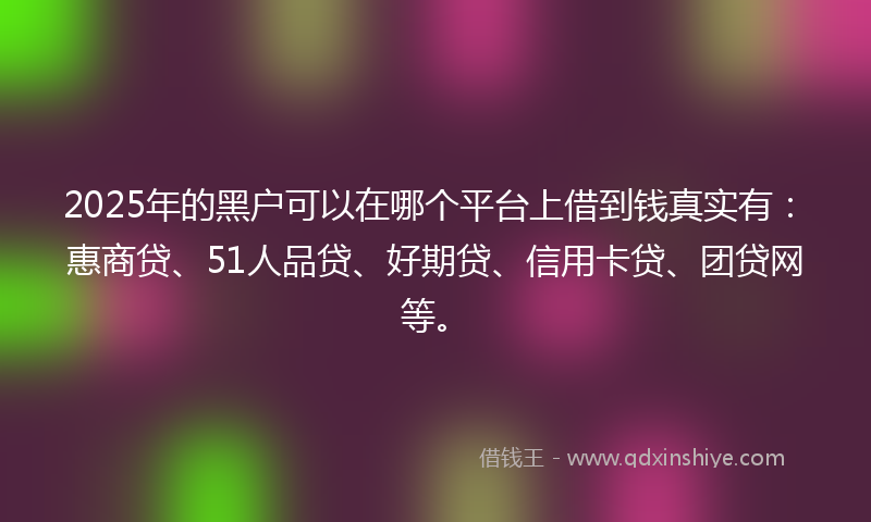 2025年的黑户可以在哪个平台上借到钱真实有：惠商贷、51人品贷、好期贷、信用卡贷、团贷网等。