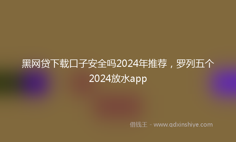 黑网贷下载口子安全吗2024年推荐，罗列五个2024放水app