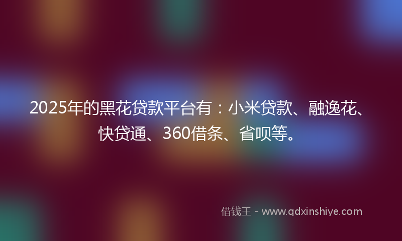 2025年的黑花贷款平台有：小米贷款、融逸花、快贷通、360借条、省呗等。