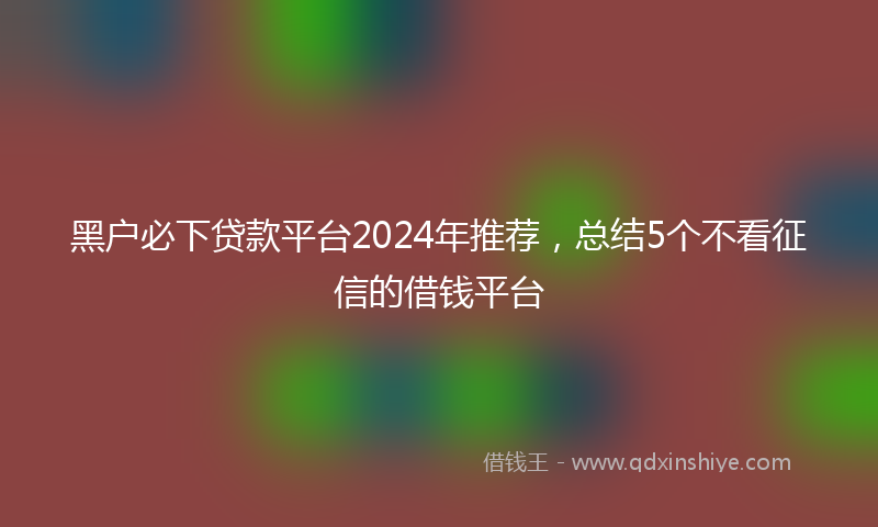 黑户必下贷款平台2024年推荐，总结5个不看征信的借钱平台