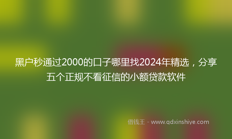 黑户秒通过2000的口子哪里找2024年精选，分享五个正规不看征信的小额贷款软件