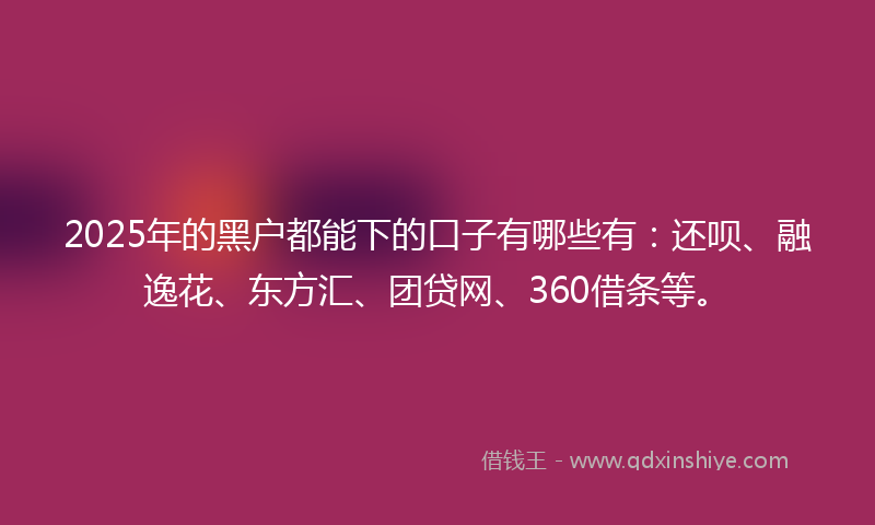 2025年的黑户都能下的口子有哪些有：还呗、融逸花、东方汇、团贷网、360借条等。