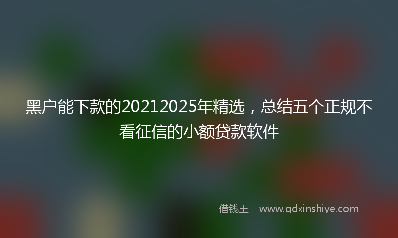 黑户能下款的20212025年精选，总结五个正规不看征信的小额贷款软件