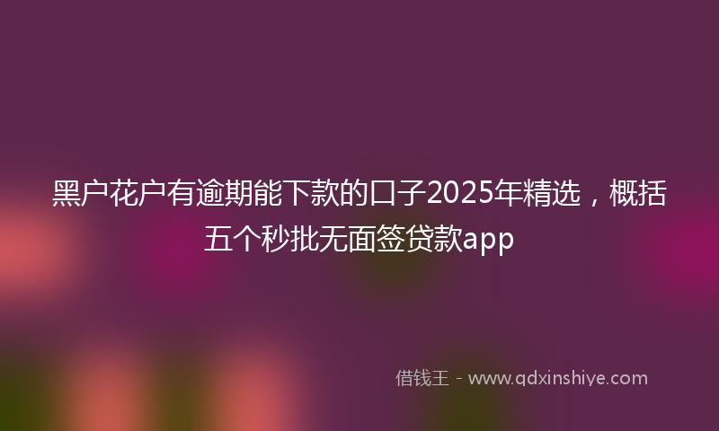 黑户花户有逾期能下款的口子2025年精选，概括五个秒批无面签贷款app