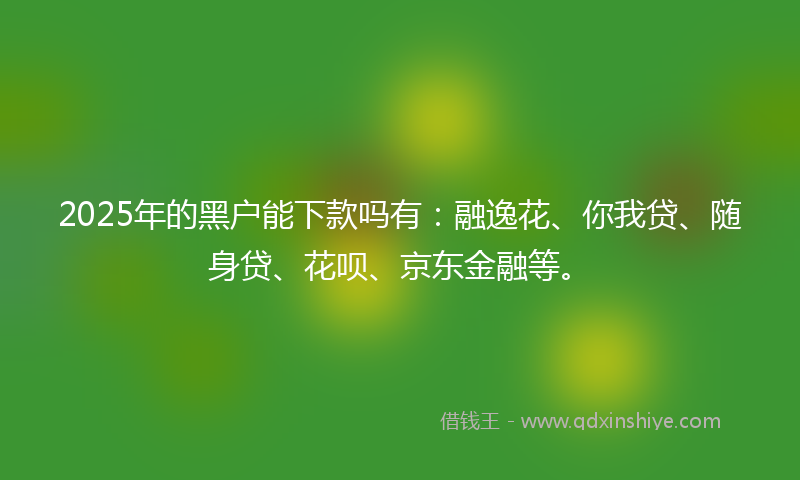 2025年的黑户能下款吗有：融逸花、你我贷、随身贷、花呗、京东金融等。