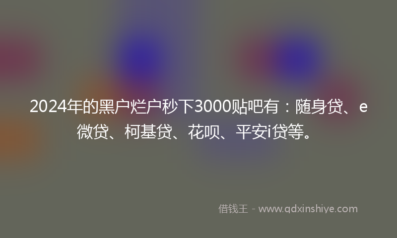 2024年的黑户烂户秒下3000贴吧有：随身贷、e微贷、柯基贷、花呗、平安i贷等。