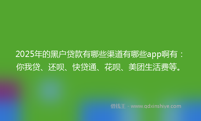 2025年的黑户贷款有哪些渠道有哪些app啊有：你我贷、还呗、快贷通、花呗、美团生活费等。