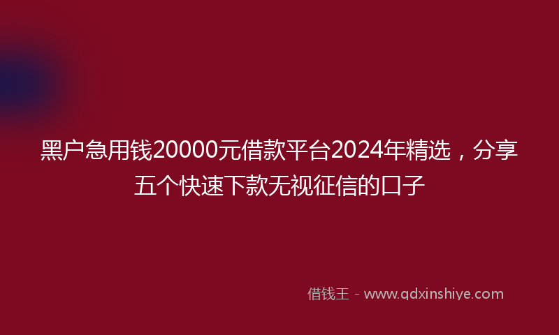 黑户急用钱20000元借款平台2024年精选,分享五个快速下款无视征信的口子