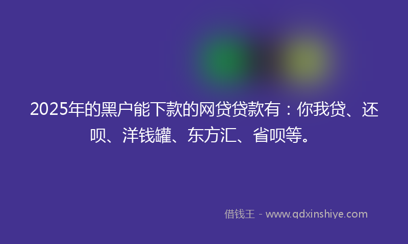 2025年的黑户能下款的网贷贷款有：你我贷、还呗、洋钱罐、东方汇、省呗等。