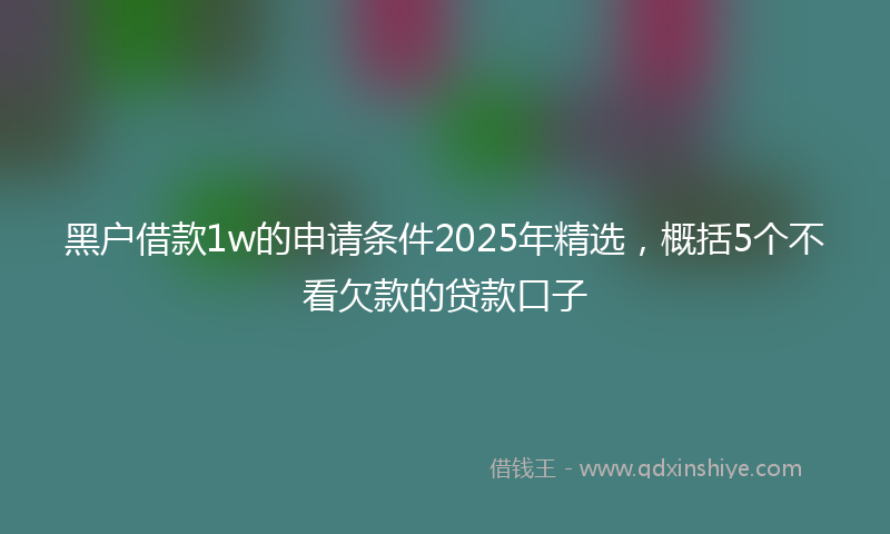 黑户借款1w的申请条件2025年精选，概括5个不看欠款的贷款口子