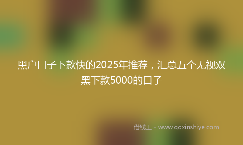 黑户口子下款快的2025年推荐，汇总五个无视双黑下款5000的口子