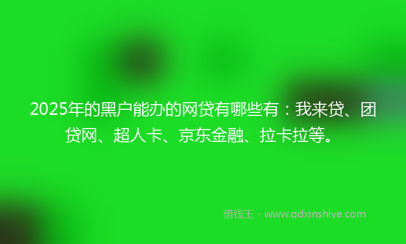 2025年的黑户能办的网贷有哪些有：我来贷、团贷网、超人卡、京东金融、拉卡拉等。