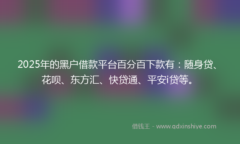 2025年的黑户借款平台百分百下款有：随身贷、花呗、东方汇、快贷通、平安i贷等。