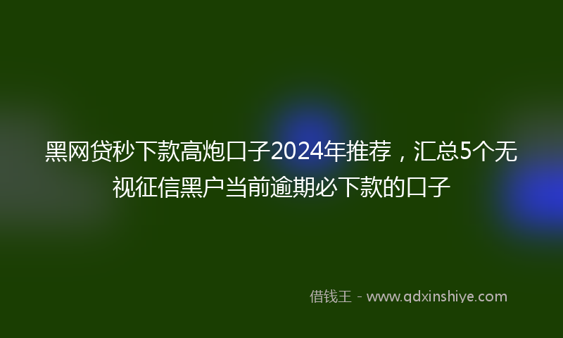 黑网贷秒下款高炮口子2024年推荐，汇总5个无视征信黑户当前逾期必下款的口子