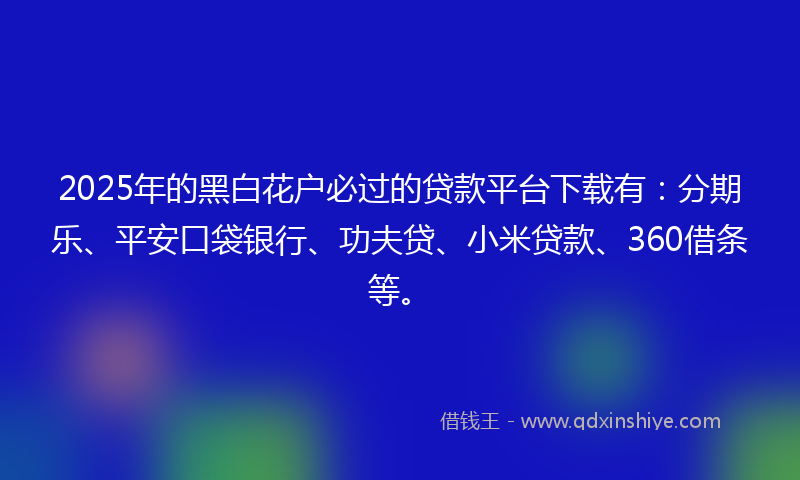 2025年的黑白花户必过的贷款平台下载有：分期乐、平安口袋银行、功夫贷、小米贷款、360借条等。
