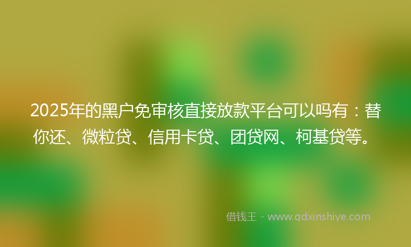 2025年的黑户免审核直接放款平台可以吗有：替你还、微粒贷、信用卡贷、团贷网、柯基贷等。